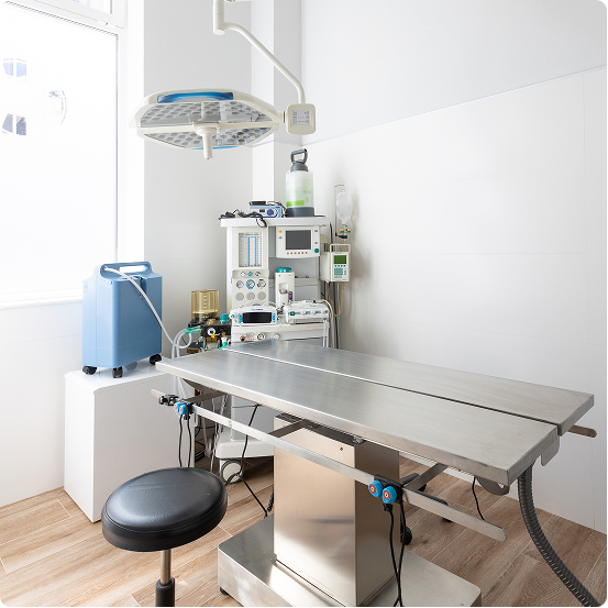 Veterinary treatment room with an exam table and anesthesia machine